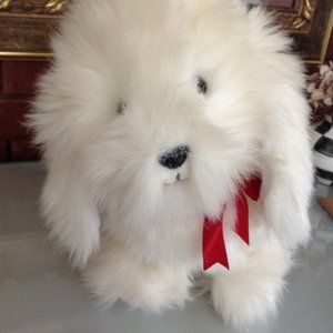 Adorable White Shaggy Dog